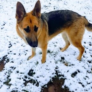 Meet your Posher, Nelly